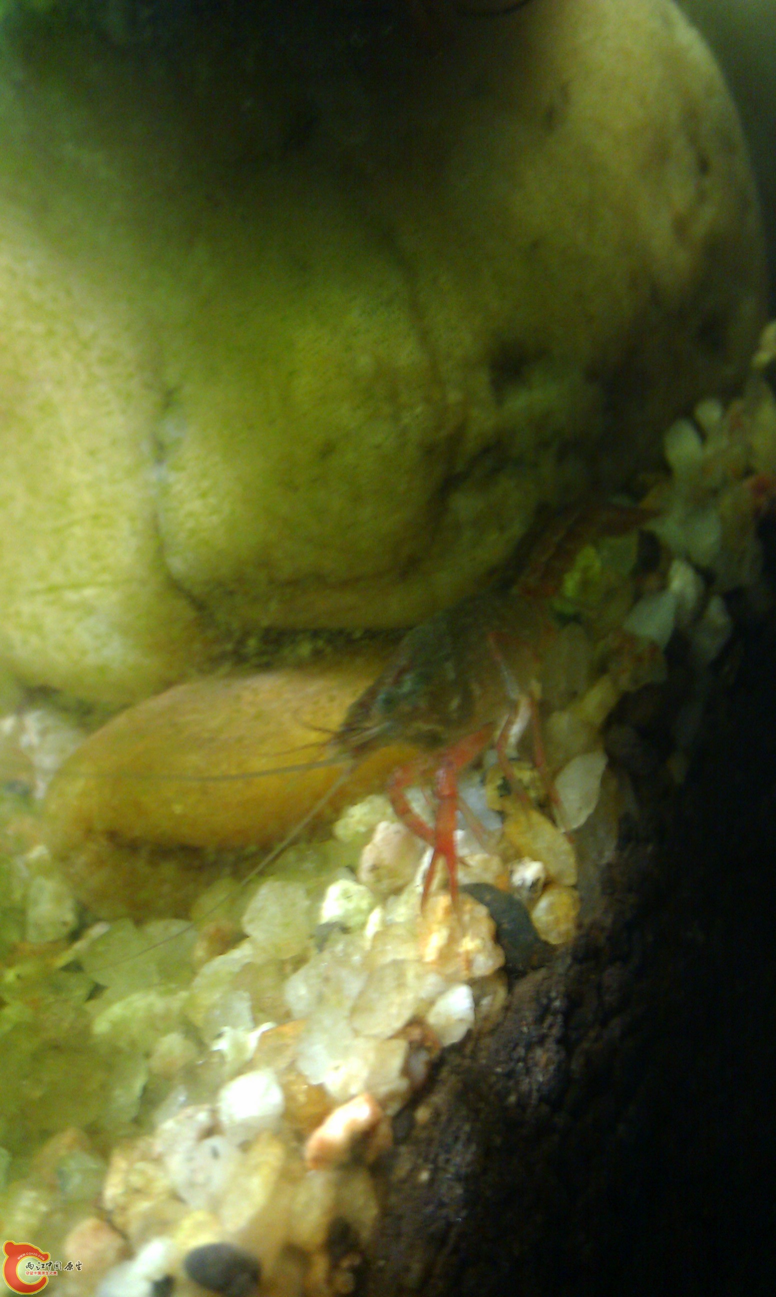 20111222-2126.JPG