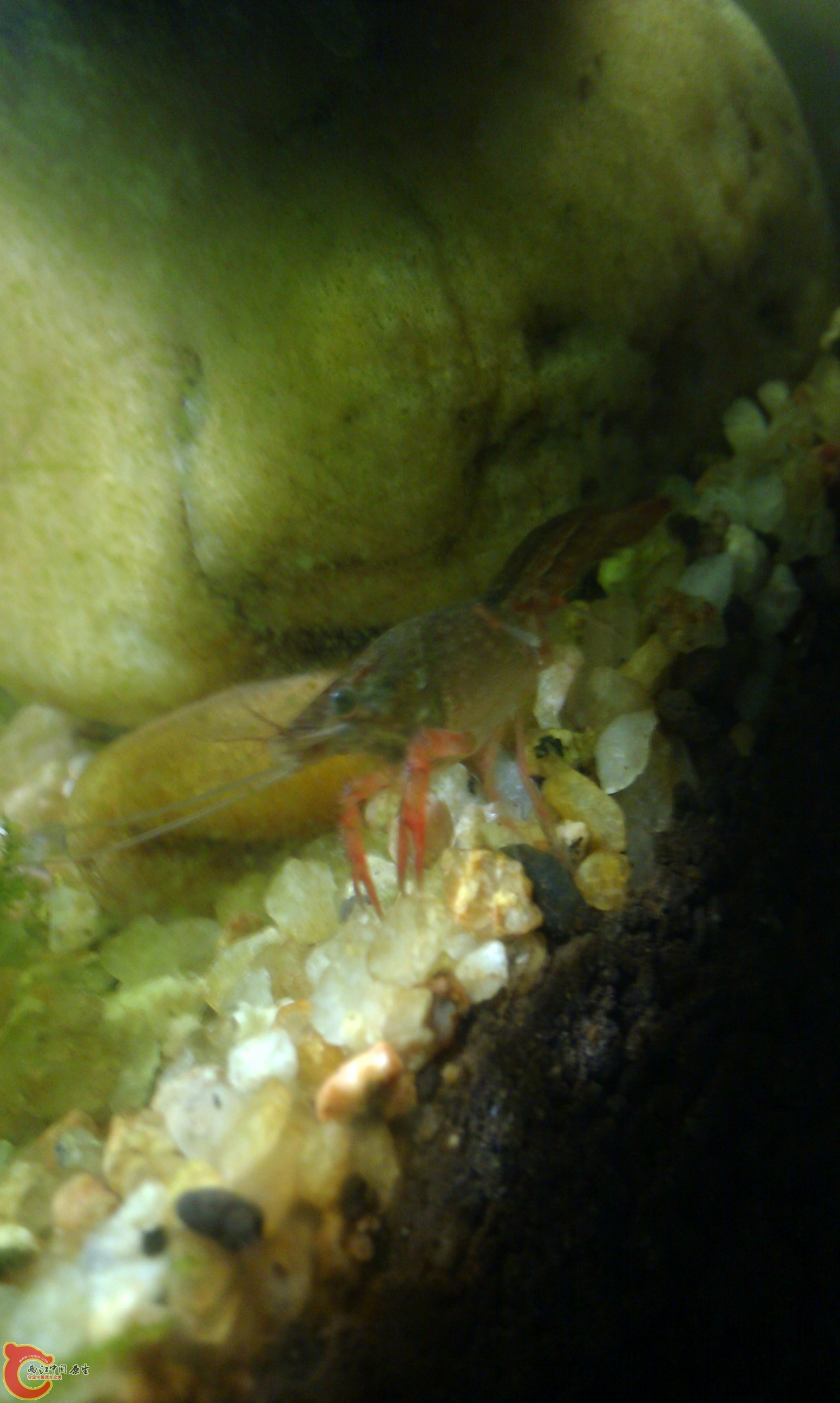 20111222-2127.JPG