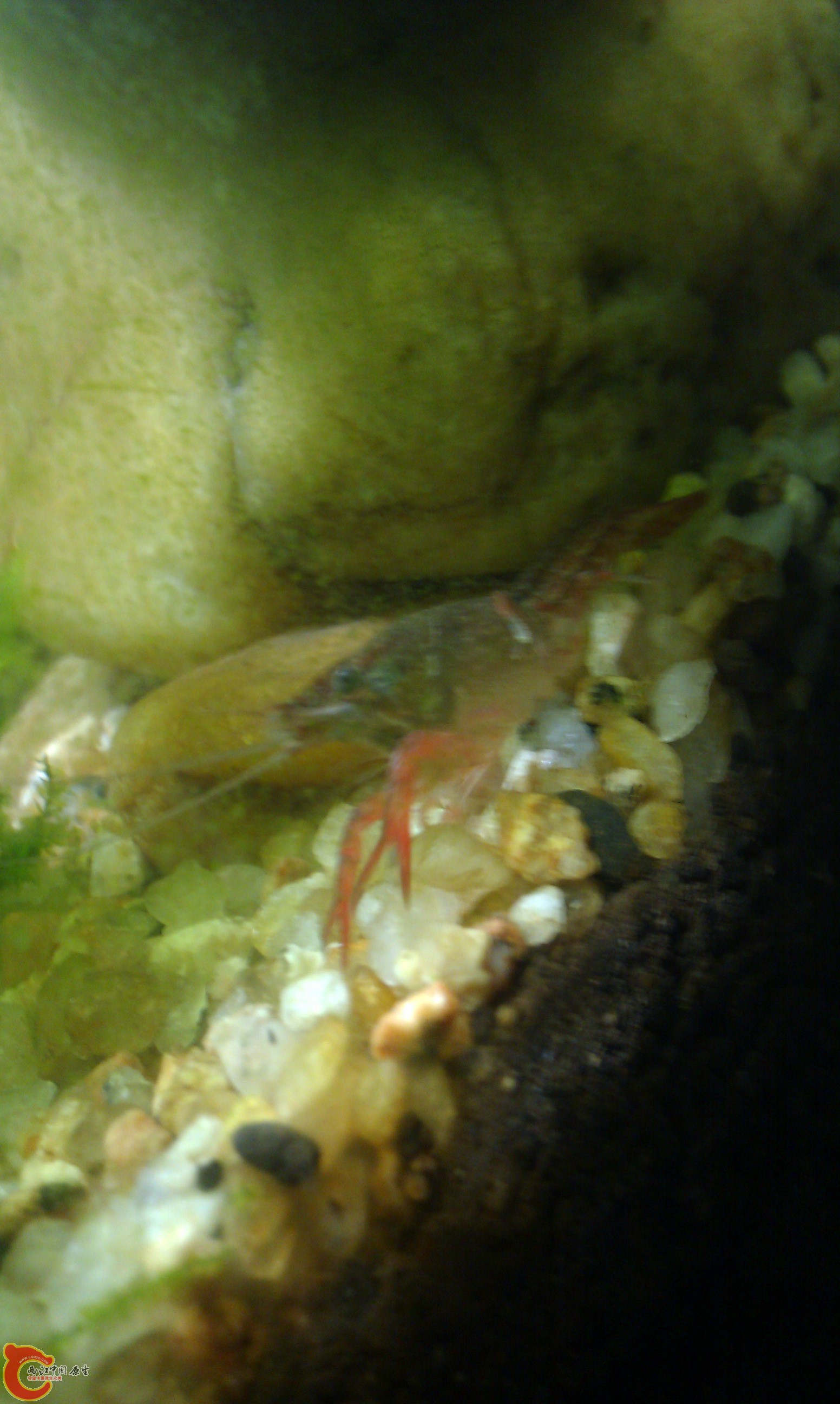 20111222-2128.JPG