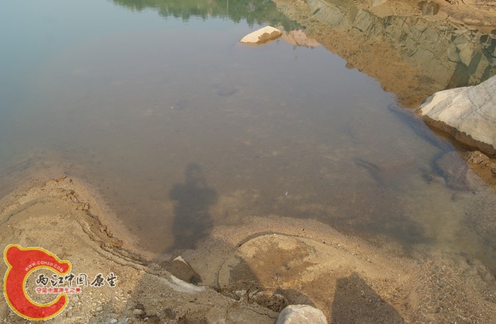 06.jpg