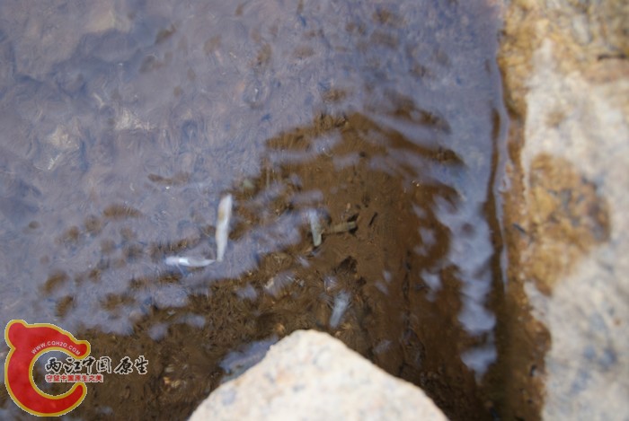 07.jpg