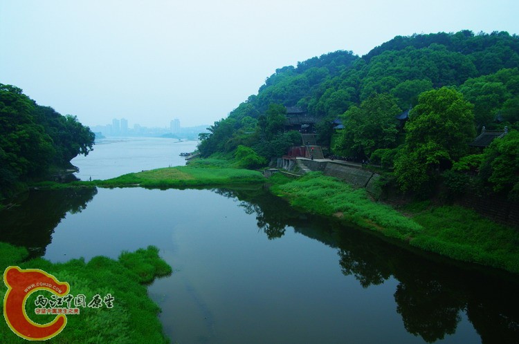 IMGP3542.jpg