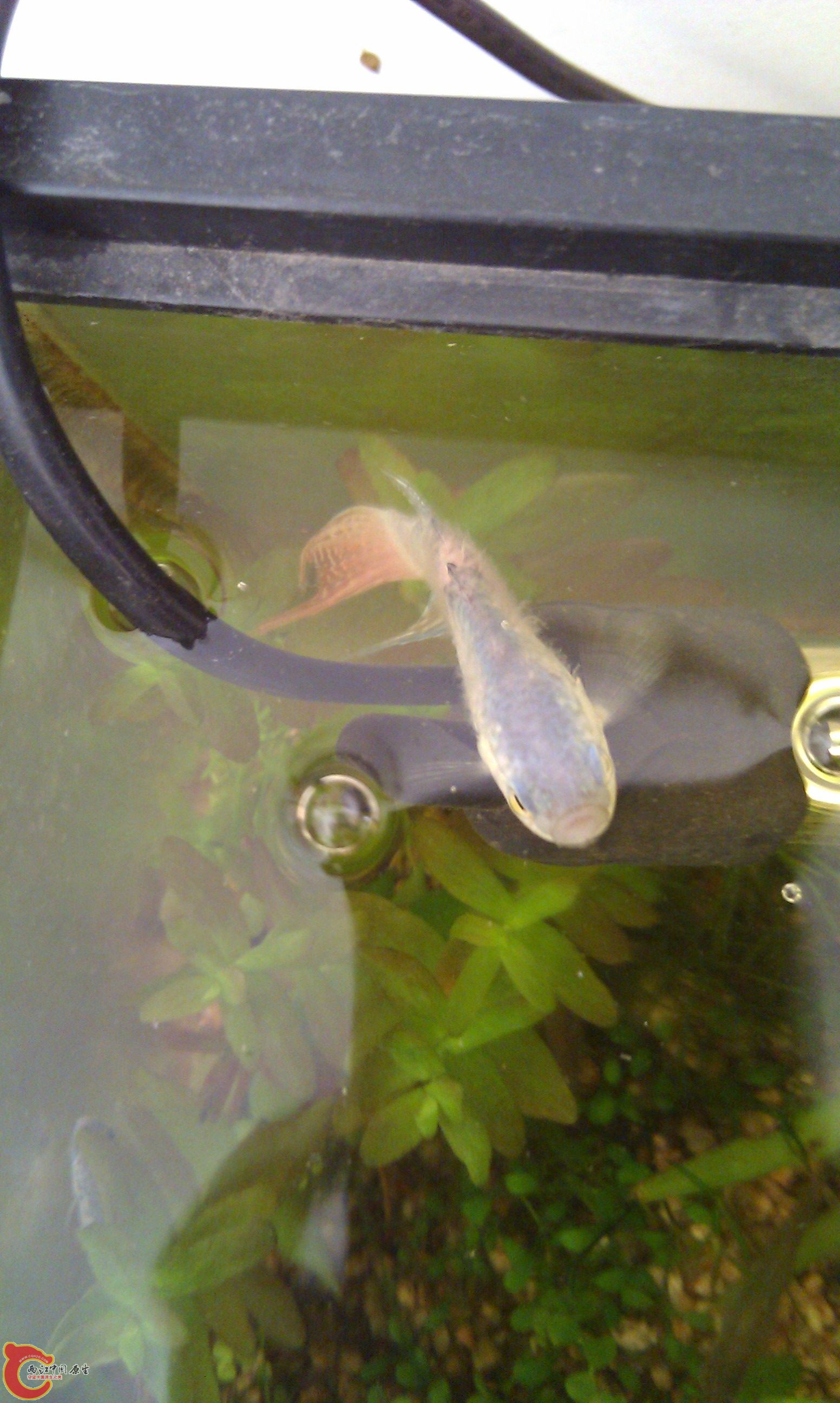 20111228-2282.JPG