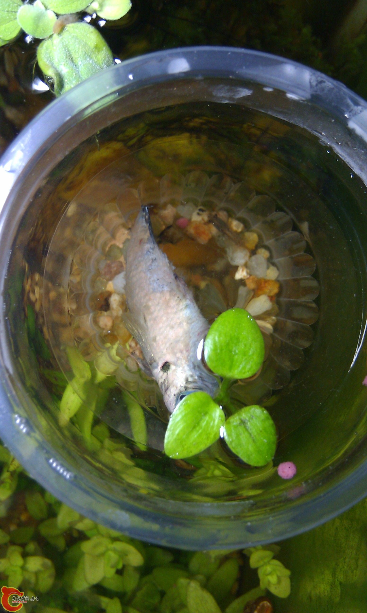 20111228-2290.JPG
