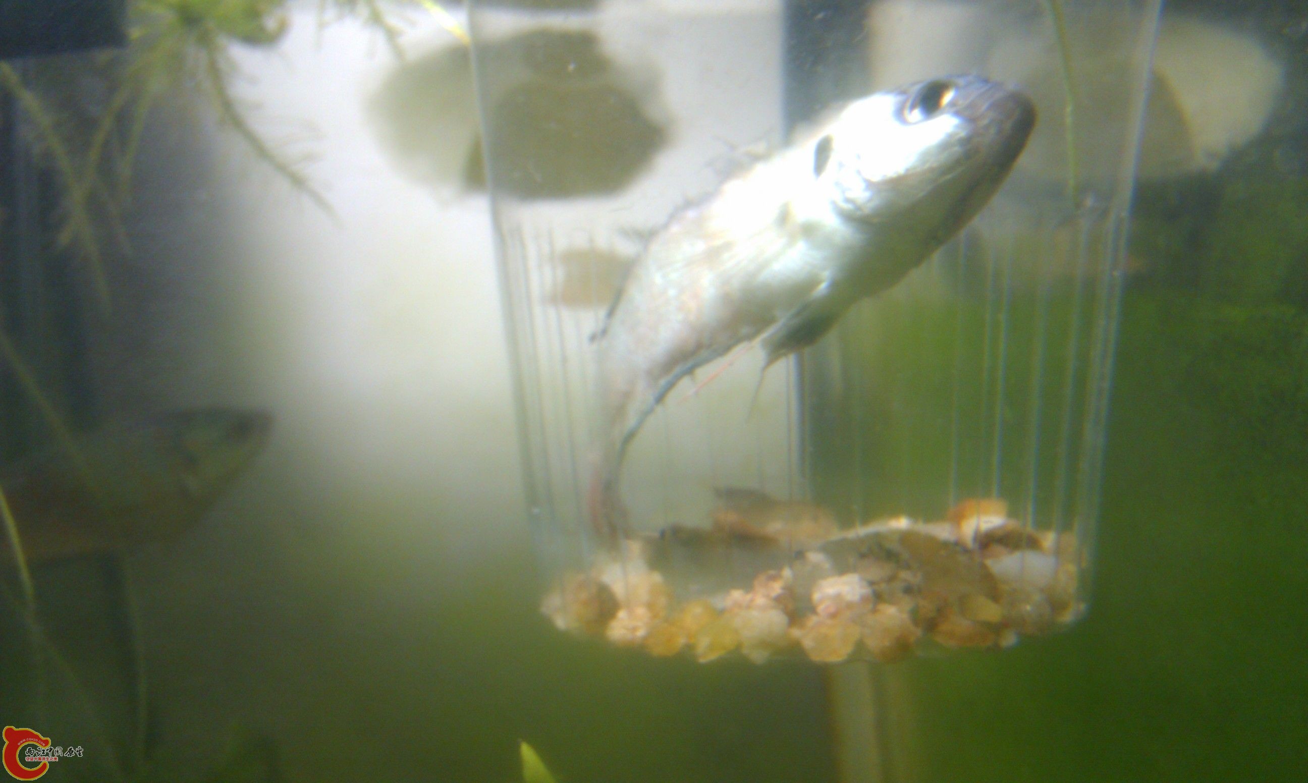 20111228-2291.JPG