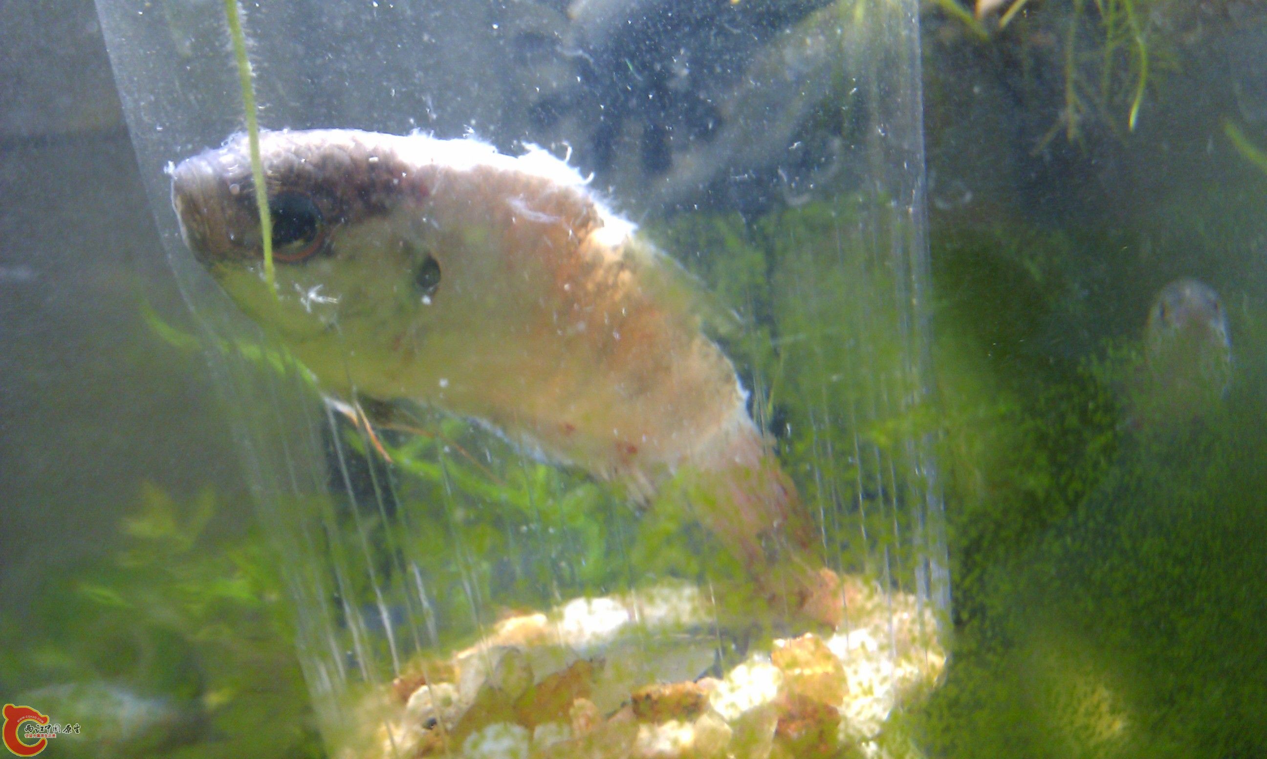 20111228-2292.JPG