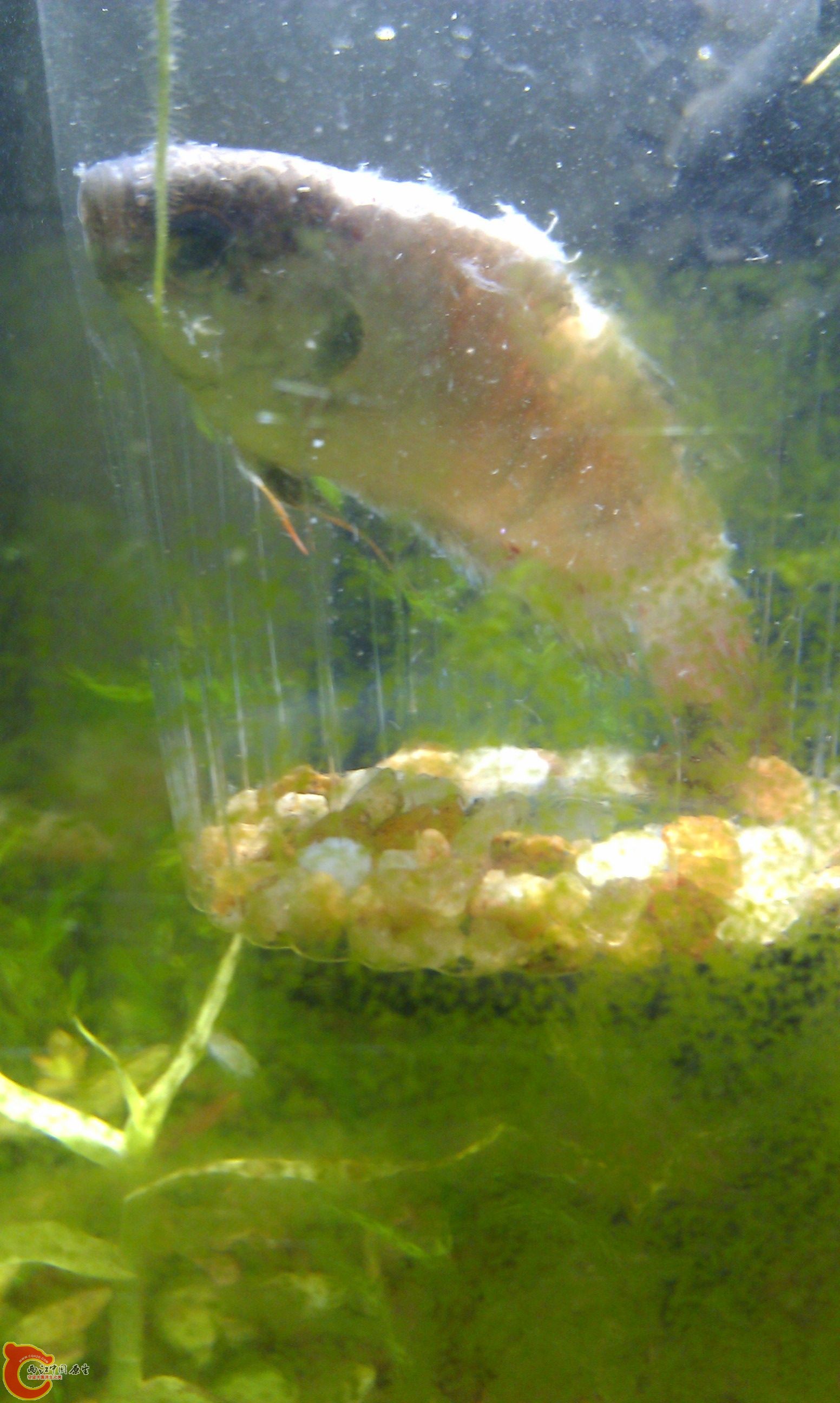 20111228-2293.JPG