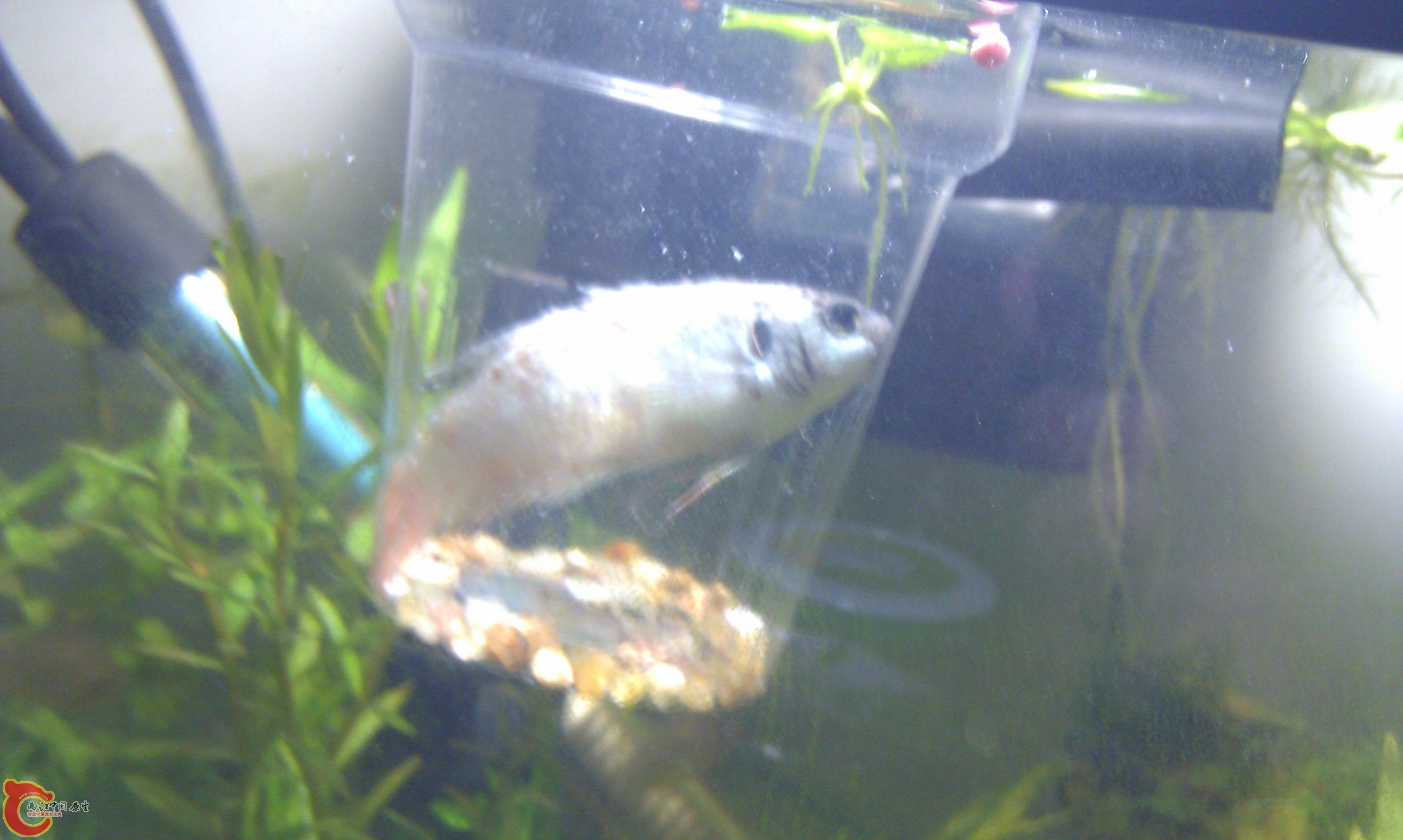 20111228-2294.JPG