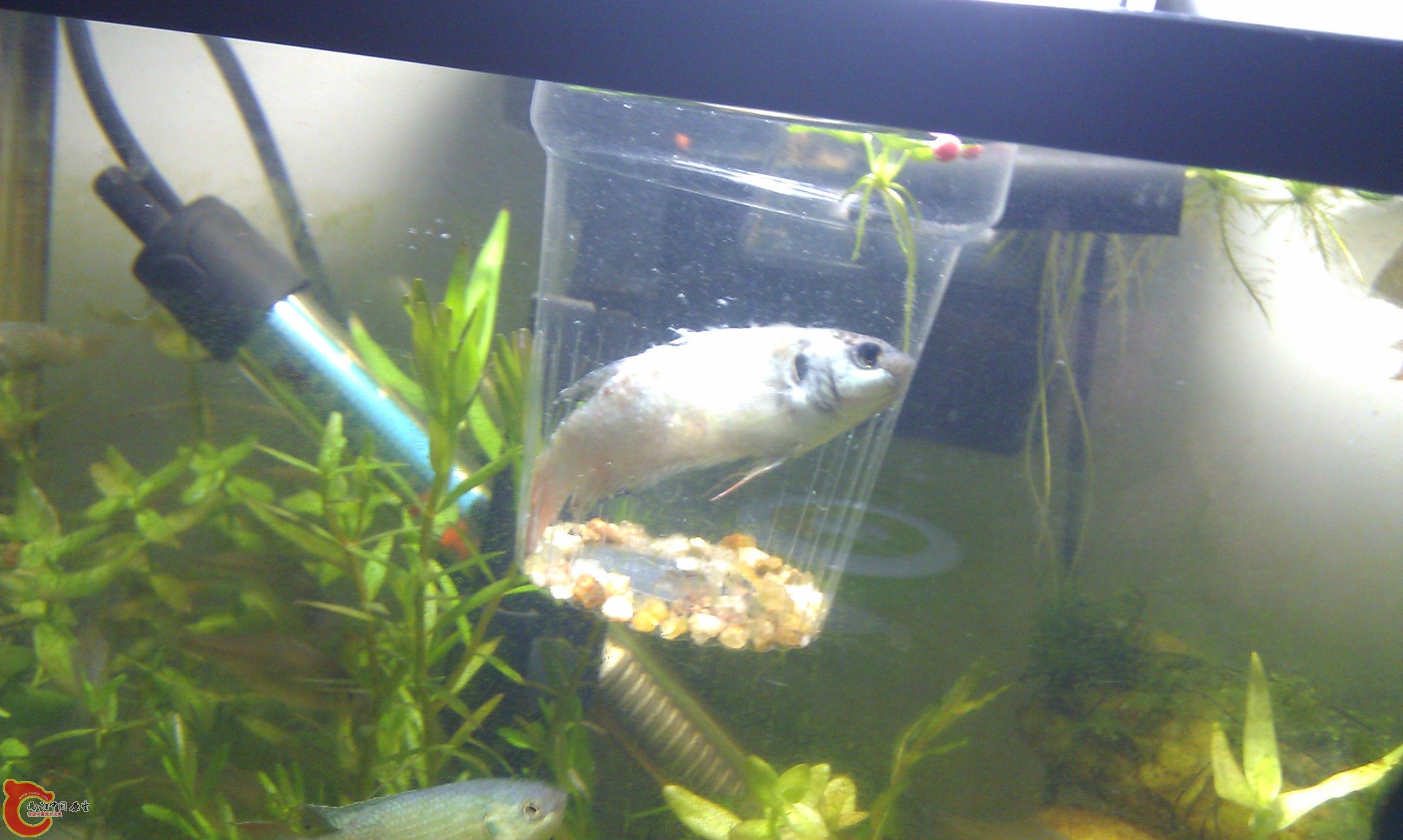 20111228-2295.JPG