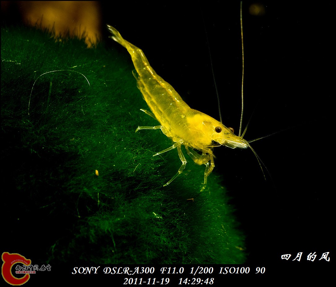DSC05247a.jpg