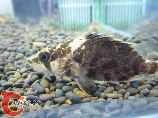 P1030929.JPG