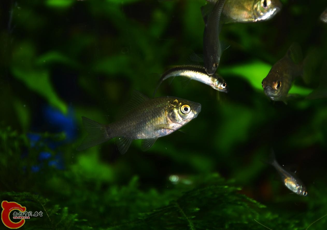 DSC_6343.jpg