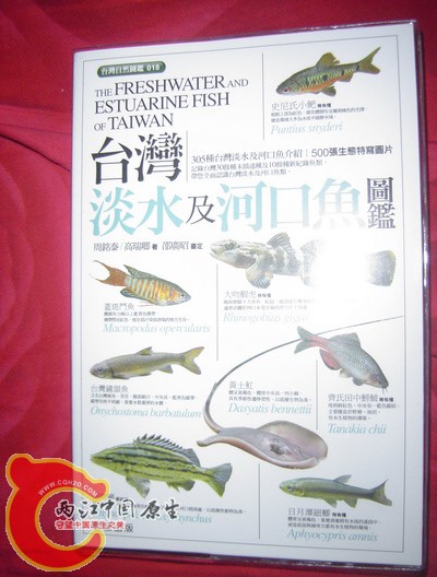 DSC00001.JPG
