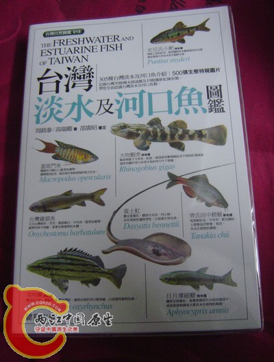 DSC00003.JPG