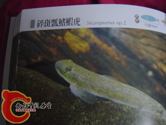 DSC00008.JPG