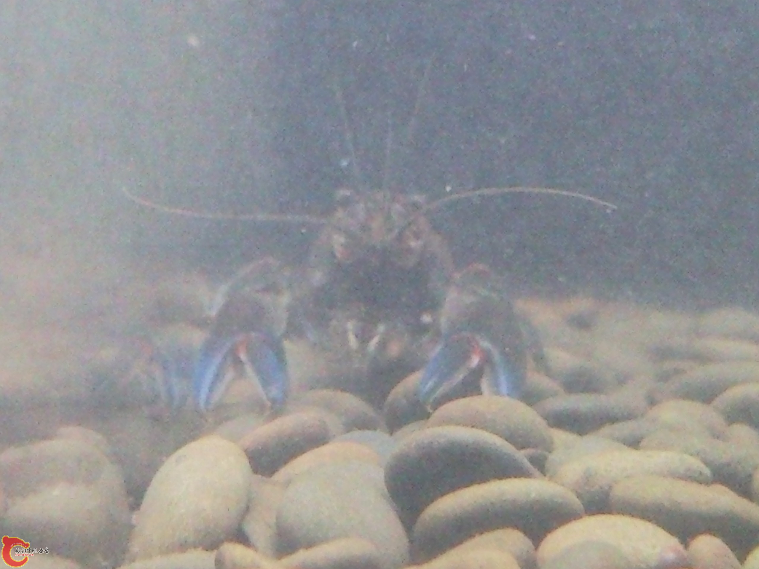SNC03613.jpg