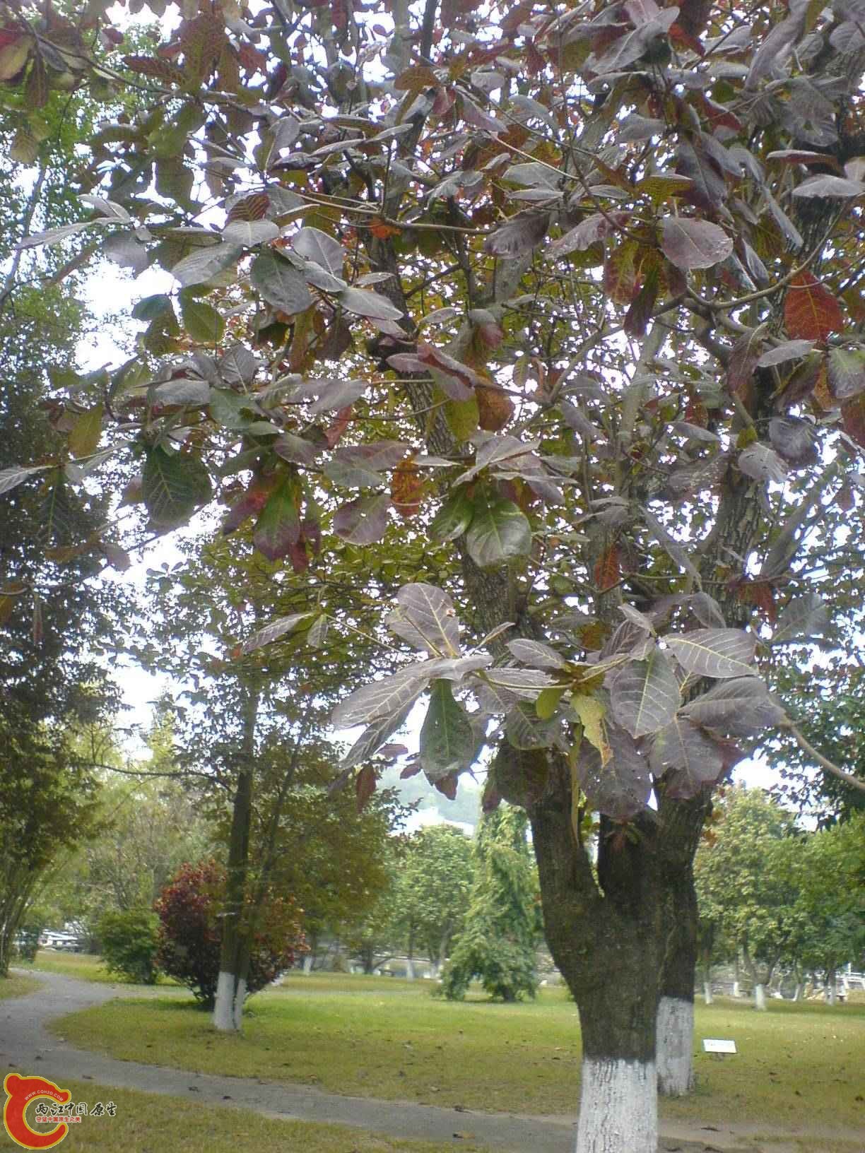DSC06713.JPG