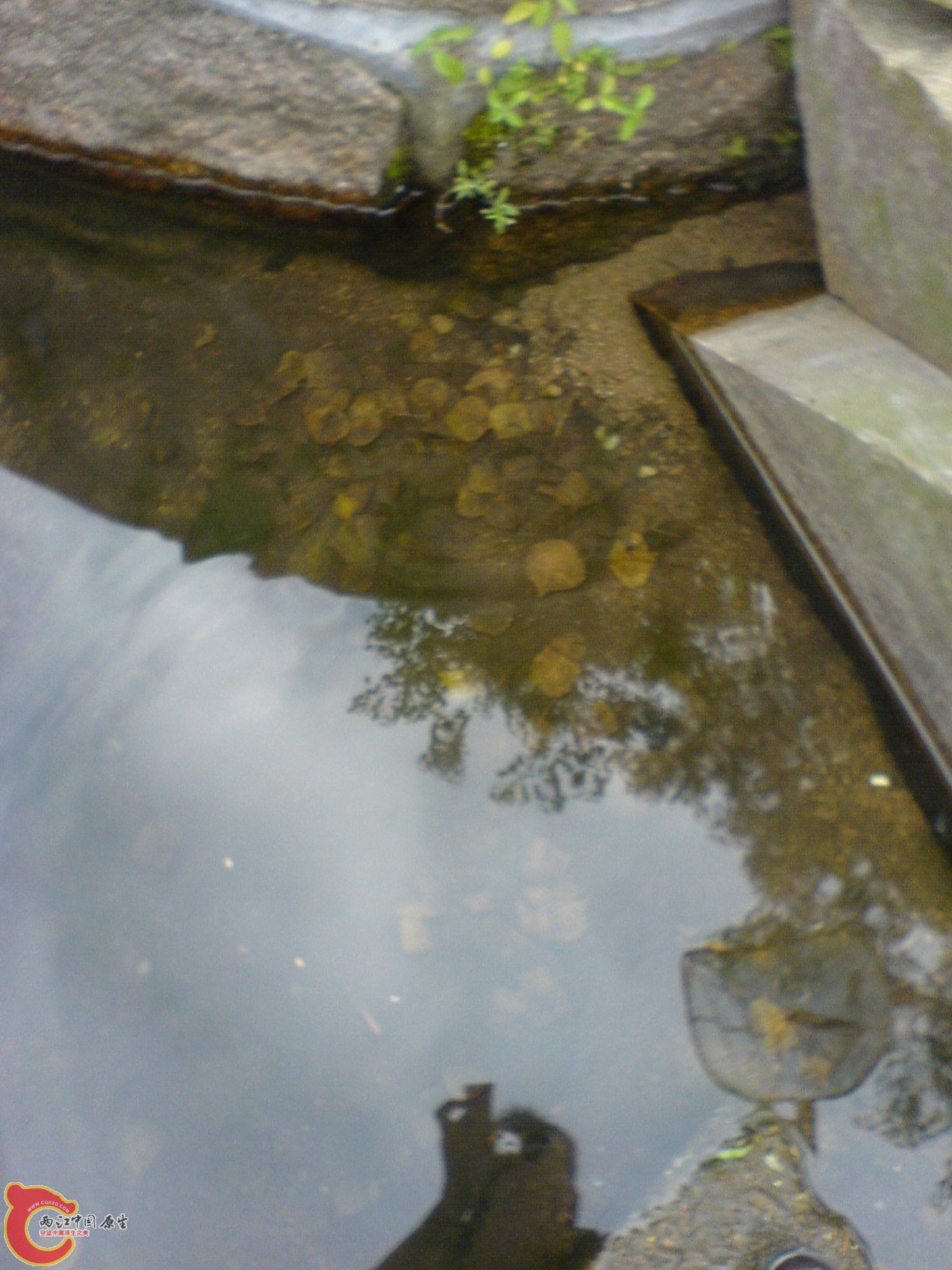 DSC06716.JPG