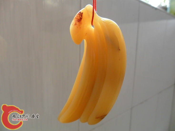 SAM_0111.JPG