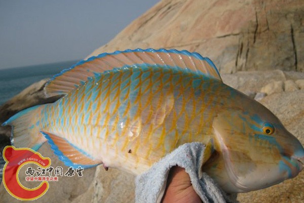 5_40530_7c0da01ebaefaf7.jpg