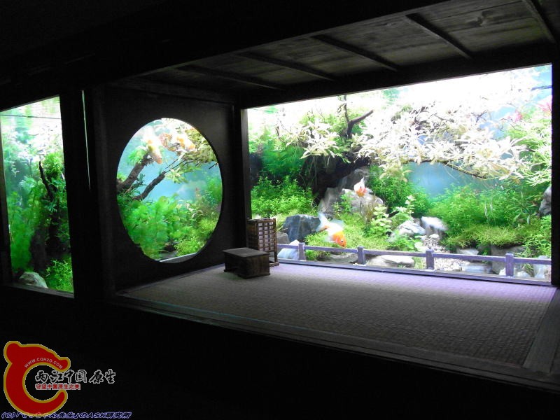 28回-wagokoro033.jpg