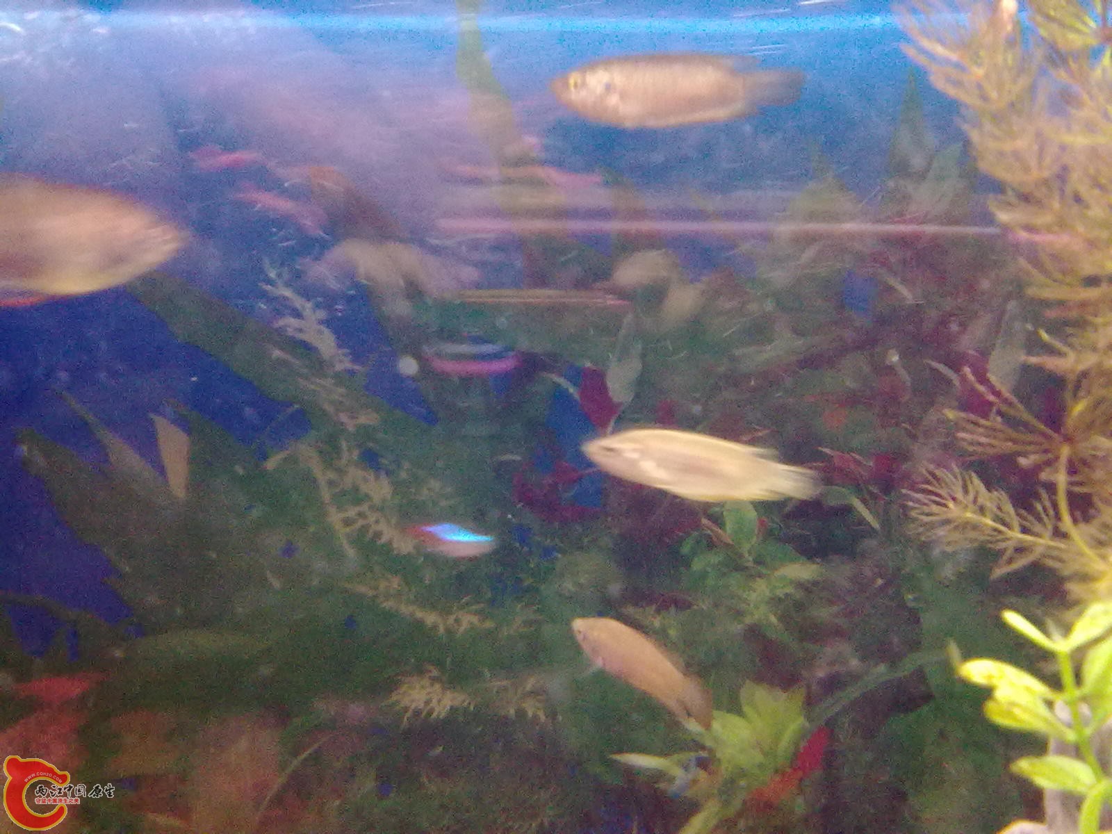 20120105834.jpg