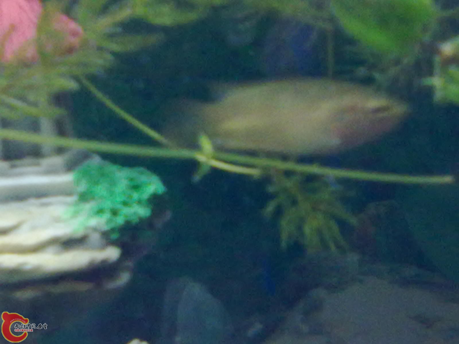 20120105825.jpg