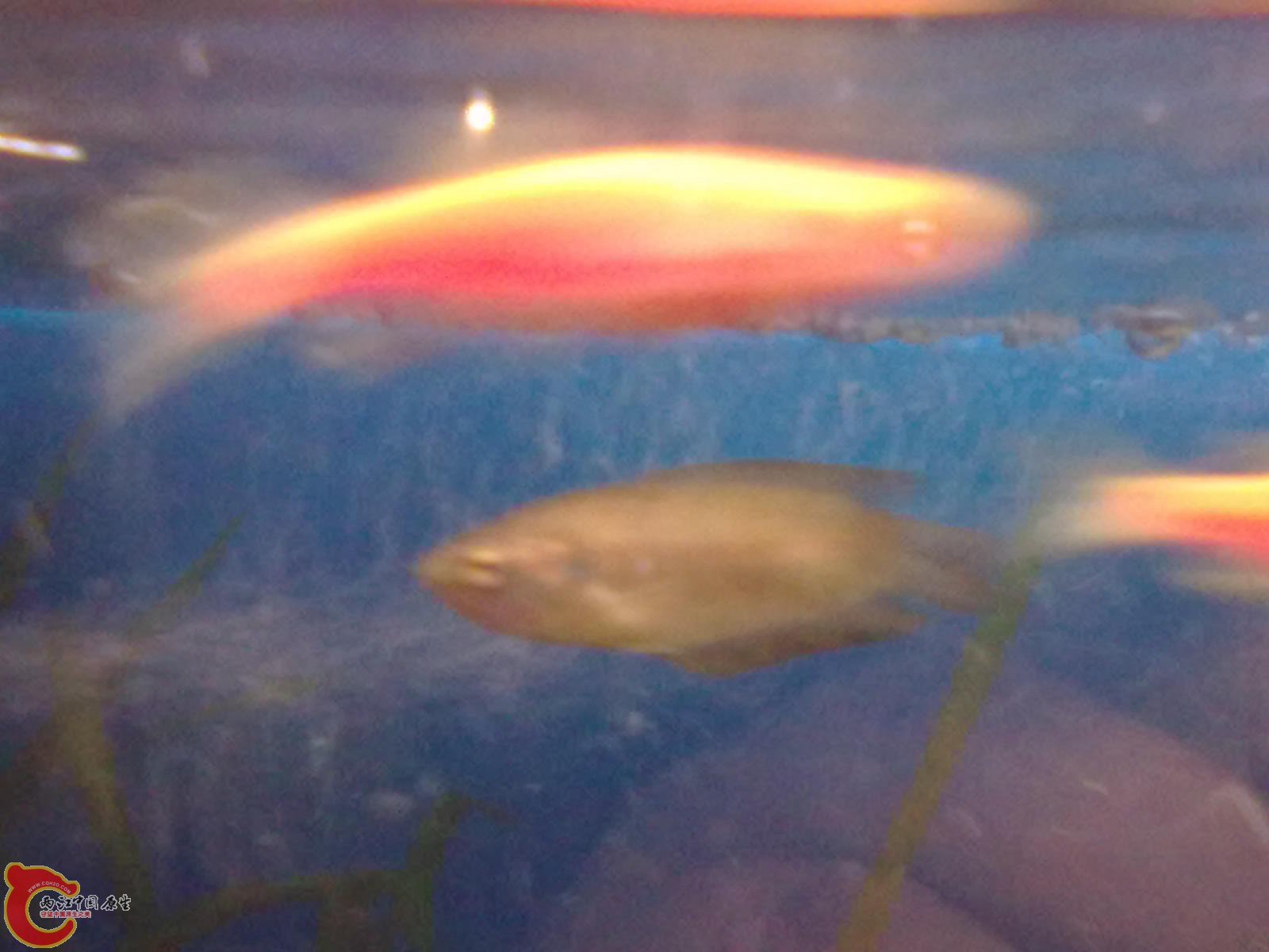 20120105829.jpg