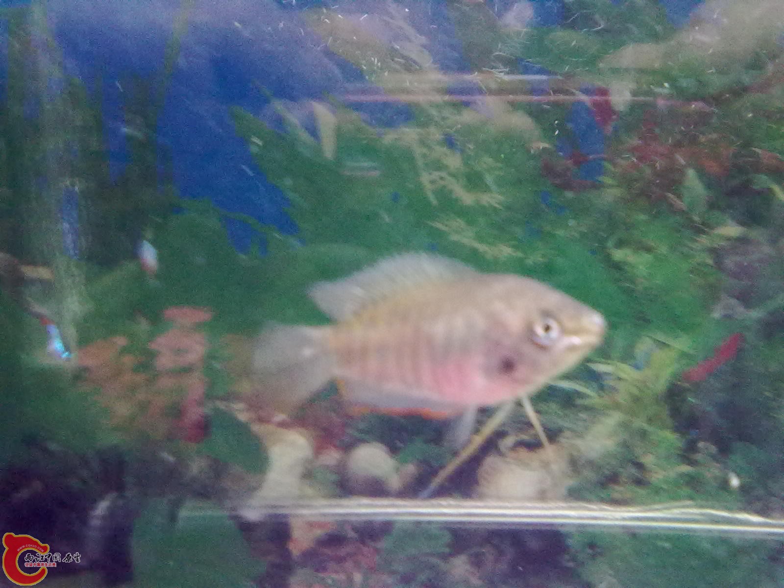 20120105833.jpg