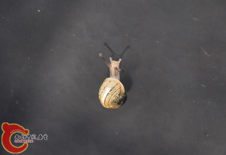 DSC_0432.jpg