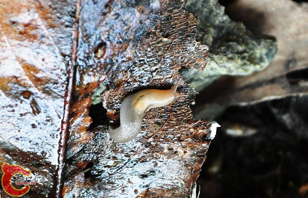 DSC_0435.jpg