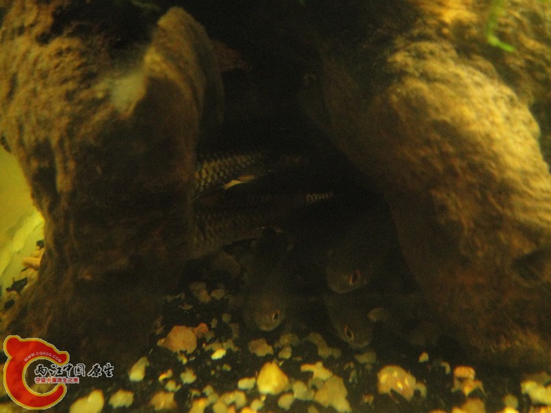 DSC02905_副本.jpg