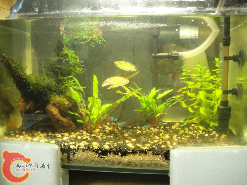 DSC02906_副本.jpg