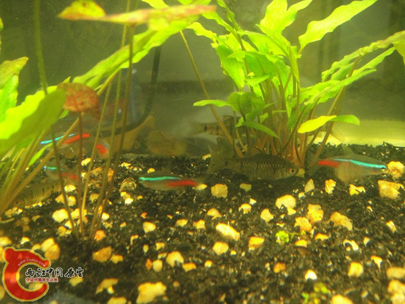 DSC02907_副本.jpg