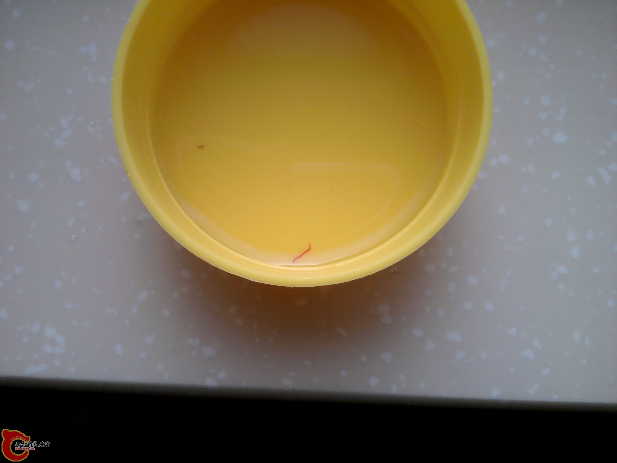 2012-01-07 15.39.57.jpg