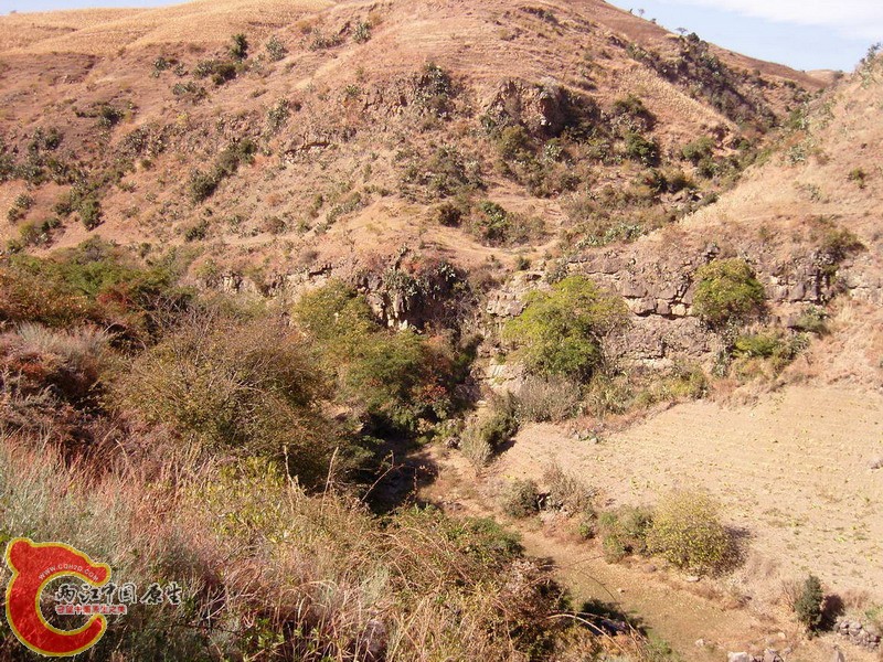 SNC11191.jpg