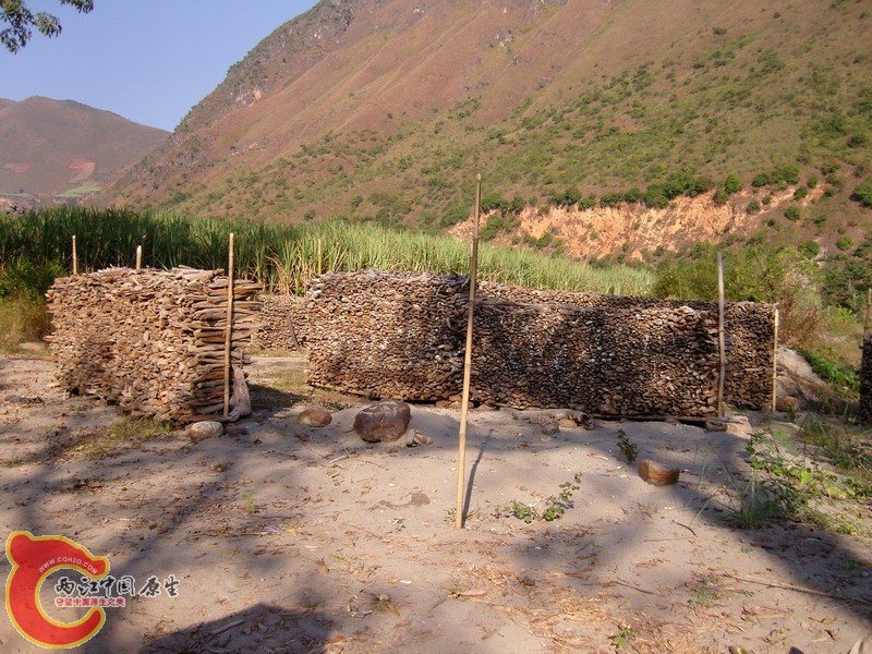 SNC10572.jpg