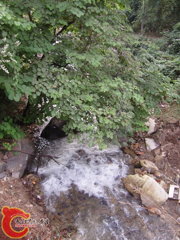 SNC10631.jpg