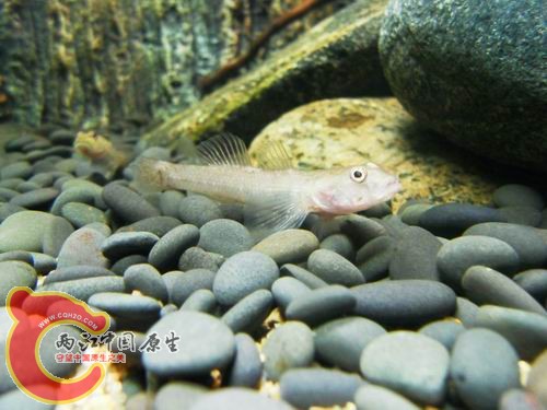 调整大小 b26.JPG