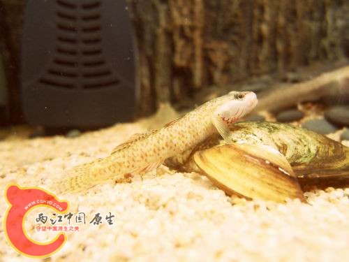 调整大小 b12.JPG