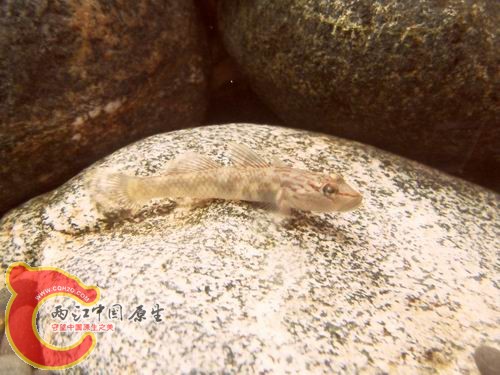 调整大小 b14.JPG