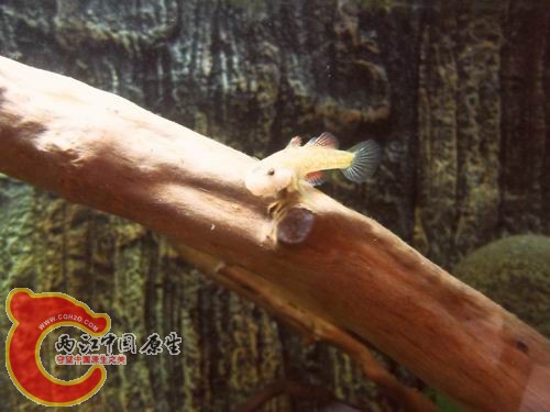 调整大小 b18.JPG