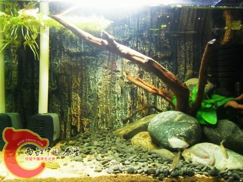 调整大小 b19.JPG