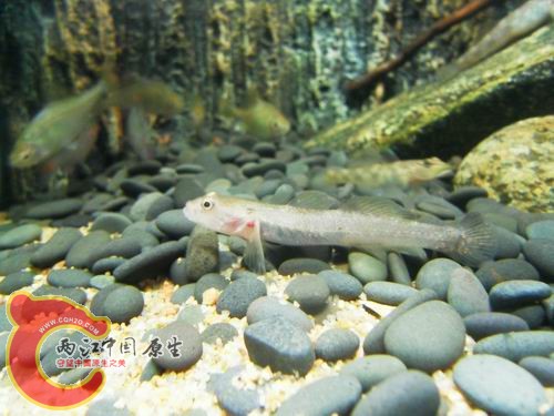 调整大小 b20.JPG