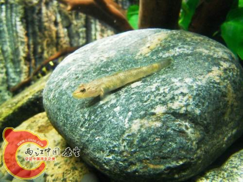 调整大小 b22.JPG