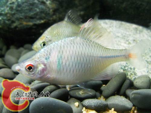 调整大小 b23.JPG