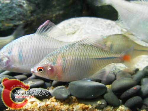 调整大小 b24.JPG