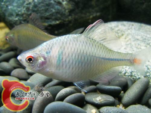 调整大小 b25.JPG