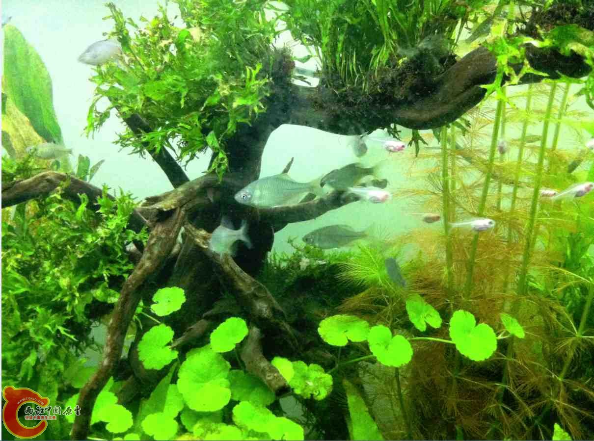 QQ截图20120110104200.jpg QQ截图20120110104200.jpg