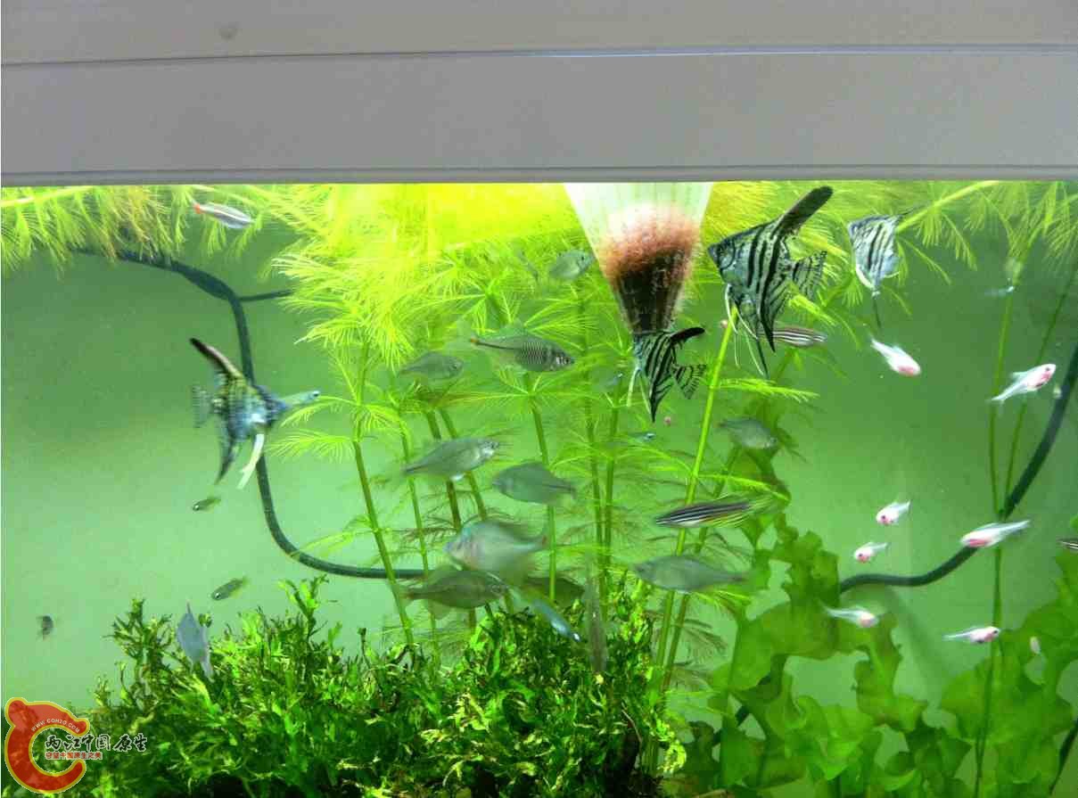 QQ截图20120110104226.jpg QQ截图20120110104226.jpg